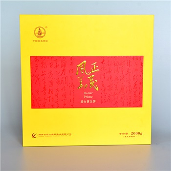 2000g風華正茂                                    